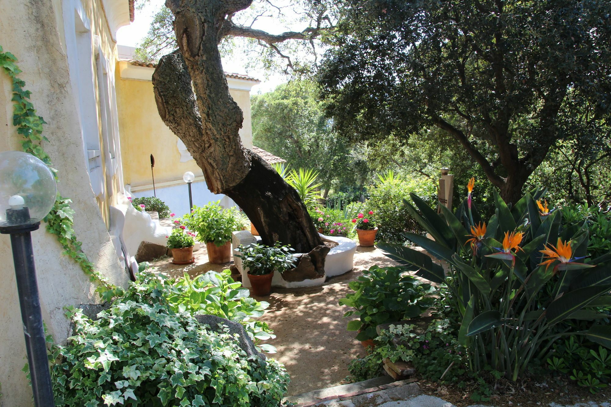 Residenza Di Campagna Seranile Dorgali Zewnętrze zdjęcie